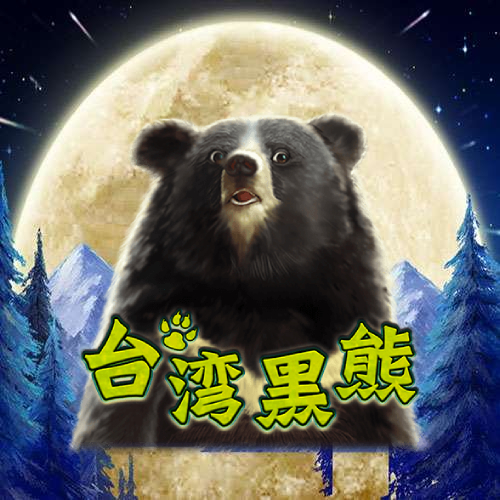 台湾黑熊