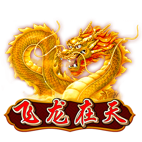 飞龙在天